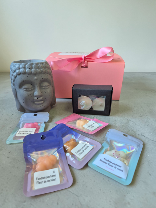 Coffret Starter - Premier pas avec les fondants parfumés - NLA Creations