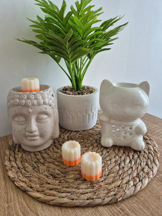 Les fondants du soleil - 6 senteurs - NLA Creations