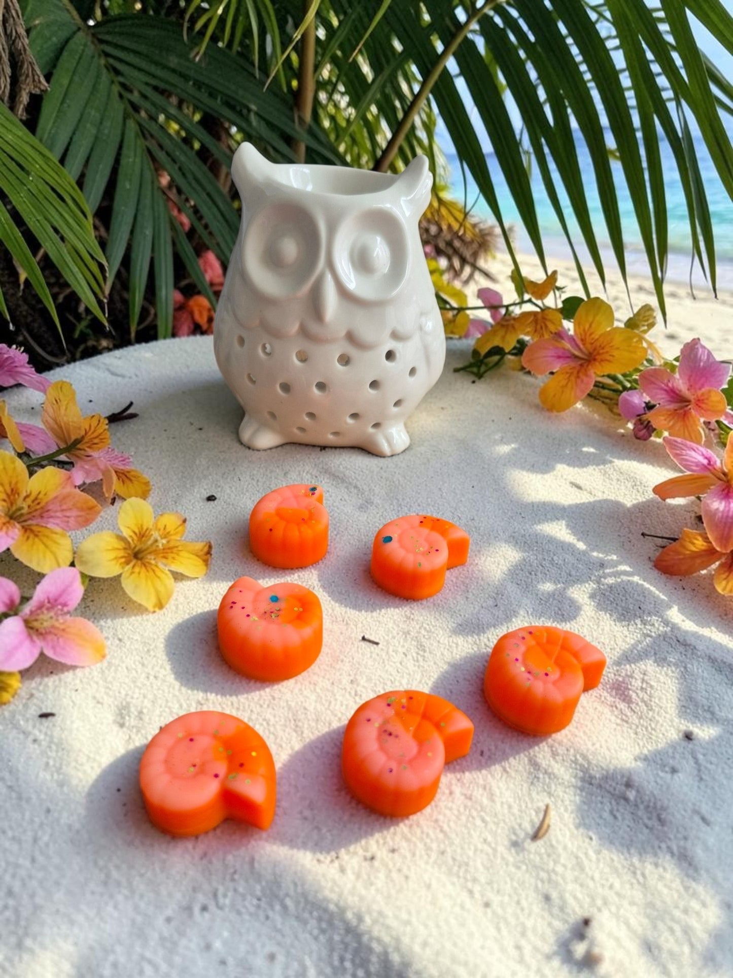 Fondant parfumé Coquillage senteur Coco citron vert (+9.6g) - NLA Creations