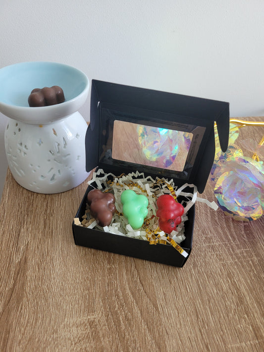 Coffret fondants parfumés découverte 3 parfums au choix idéal pour découvrir des nouvelles senteurs