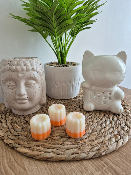 Les fondants du soleil - 6 senteurs - NLA Creations