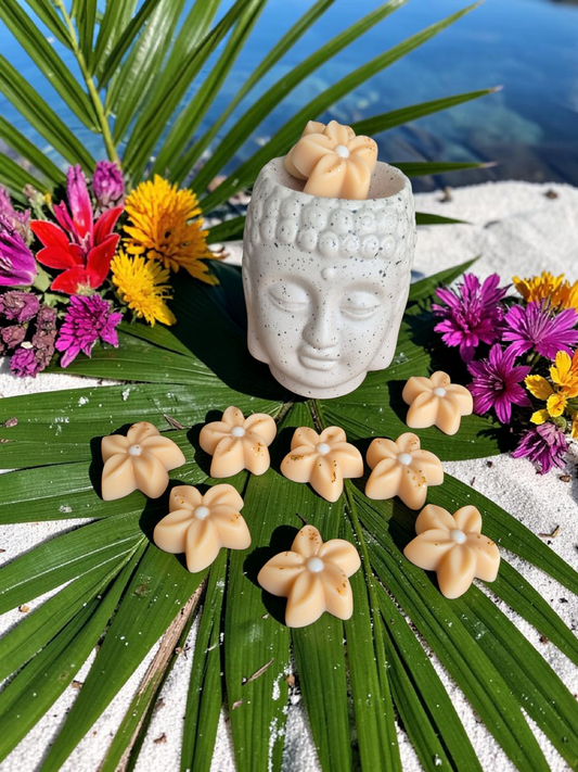 Fondant parfumé Monoï vanillé +12g - NLA Creations