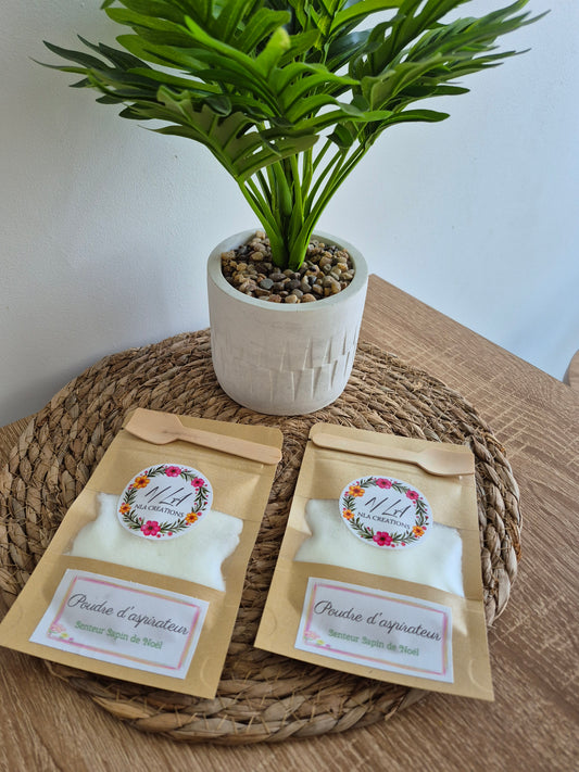 Poudre d'aspirateur - Senteur Sapin de Noel 50g - NLA Creations