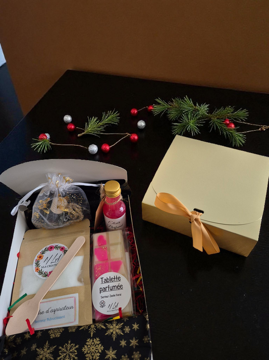 Coffret Découverte de Noël – Élixirs et Diffuseur - NLA Creations