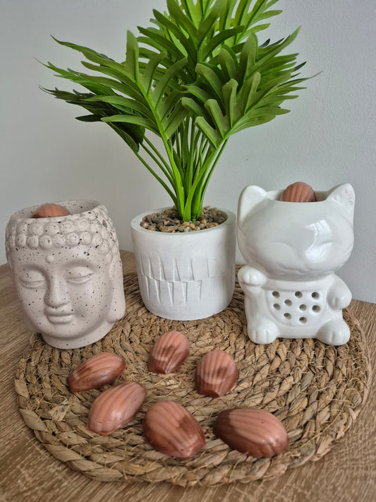 Fondant parfumé Madeleine d'enfance ✨️ - NLA Creations 