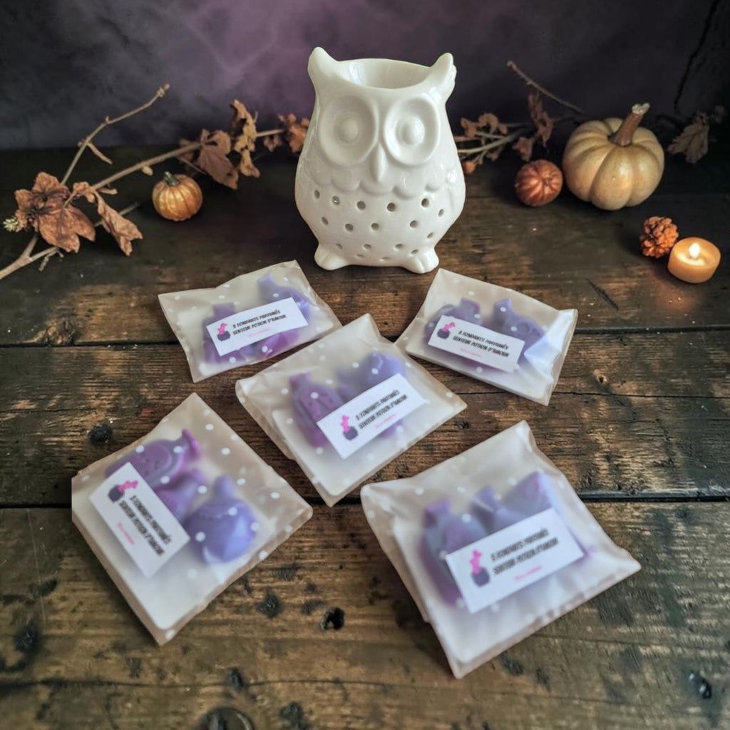 Lot de 3 fondants parfumés senteur potion d'amour 
