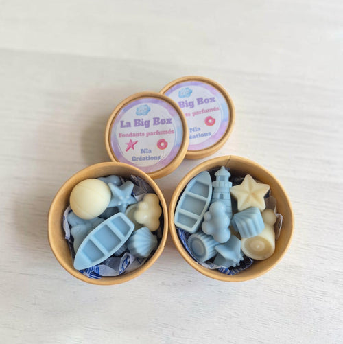 Fondants parfumés de la Big Box aux formes et couleurs aléatoires