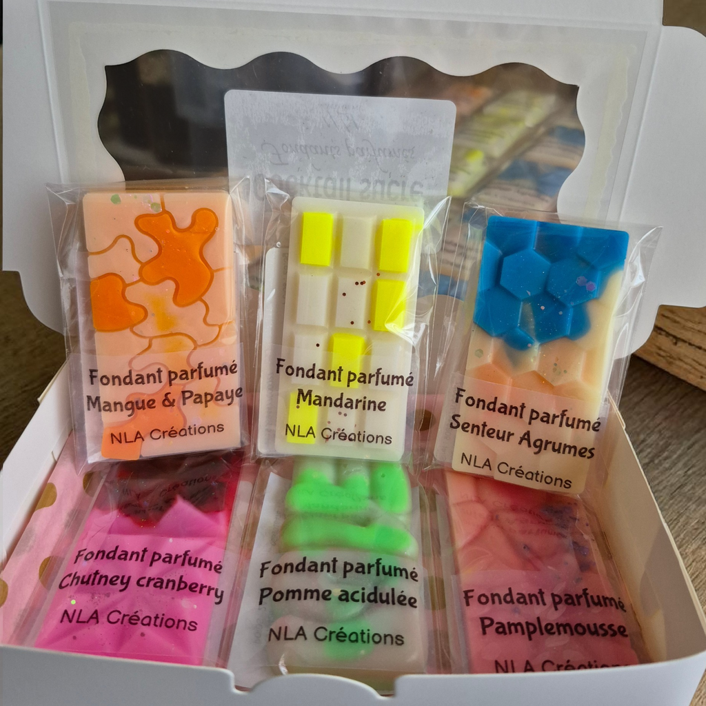 Coffret de petites tablettes de cire parfumée aux fragrances fruitées, fabriquées à la main par NLA Créations.
