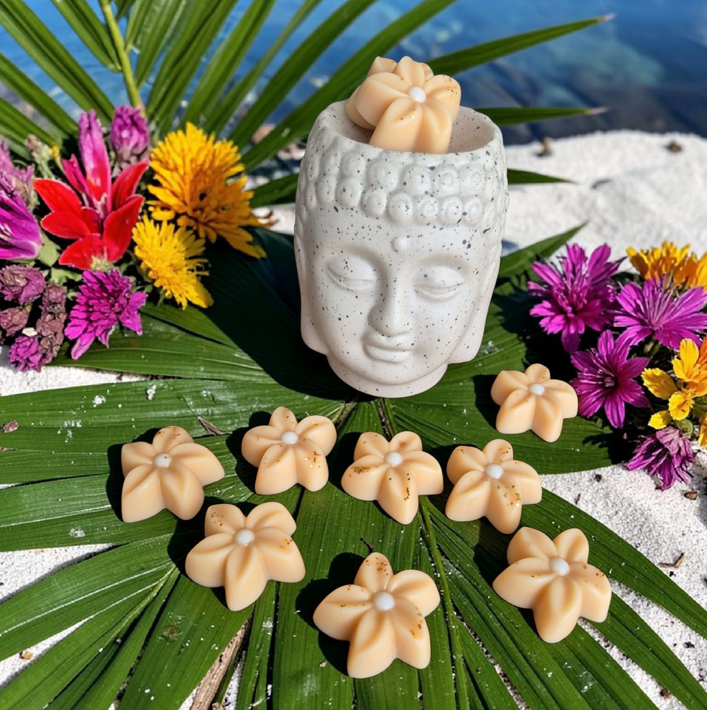 Fondant artisanal parfum Monoï Vanillé, fabriqué à la main par NLA Créations avec une senteur exotique et gourmande.