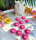 Fondant parfumé Porcinet senteur Monoï Ananas Givré, création artisanale avec parfum de Grasse par NLA Créations