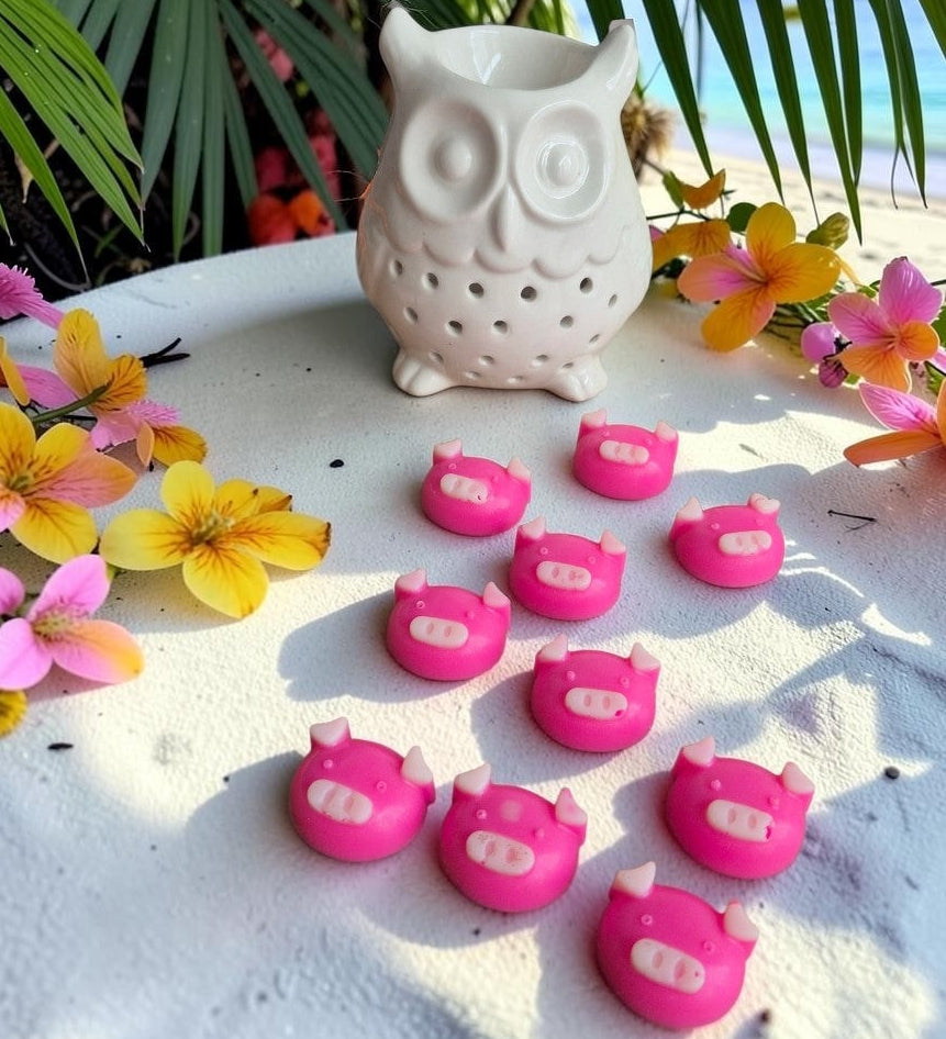 Fondant parfumé Porcinet senteur Monoï Ananas Givré, création artisanale avec parfum de Grasse par NLA Créations