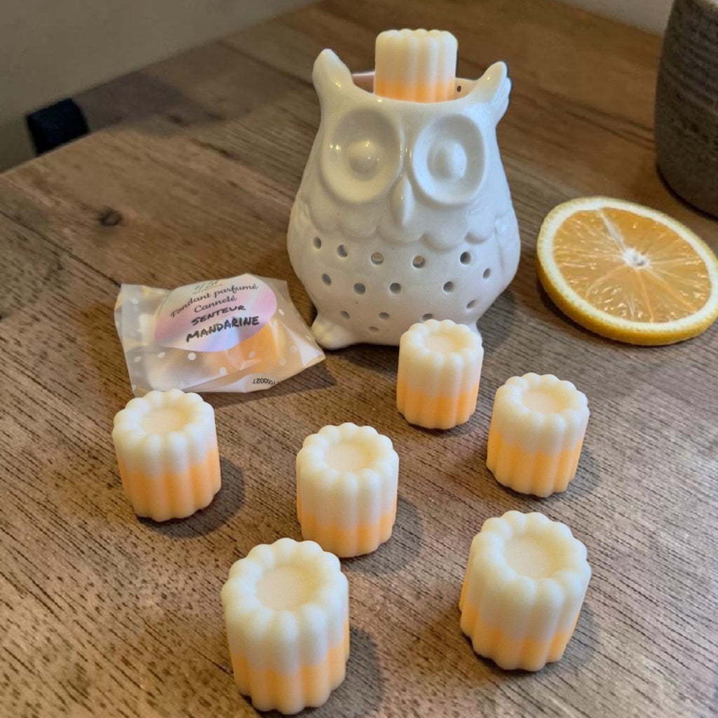 Fondants parfumés Cannelés Bicolores 20 g, disponibles dans un large choix de senteurs pour parfumer votre intérieur