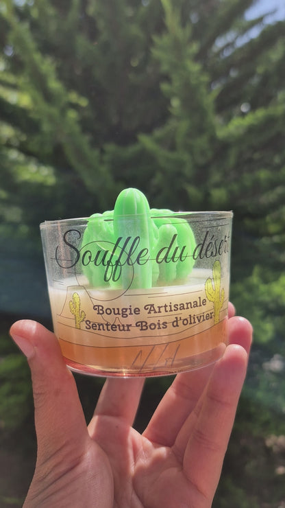 Bougie "Souffle du desert" - Bois d'olivier