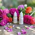 Recharge 10 ml pour diffuseur voiture avec parfum au choix, création artisanale aux senteurs de Grasse.