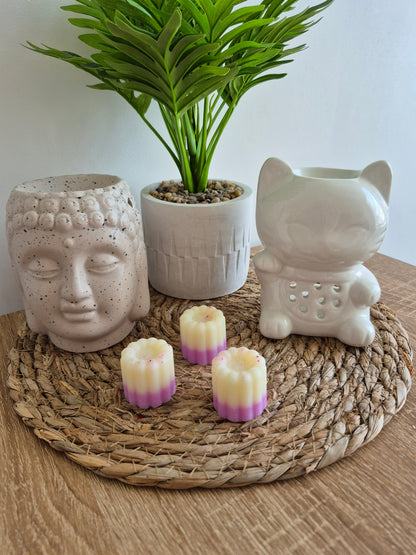 Les fondants du soleil - 6 senteurs - NLA Creations 