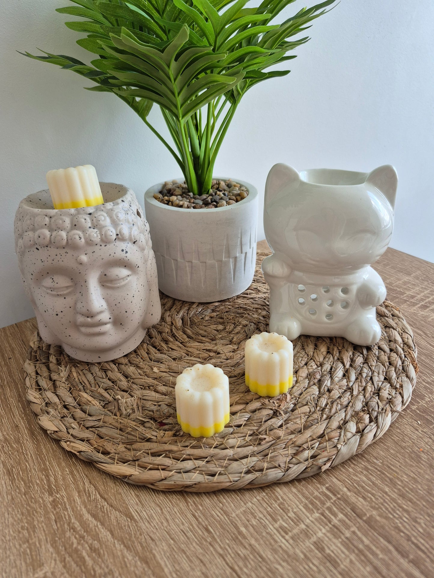 Les fondants du soleil - 6 senteurs - NLA Creations 