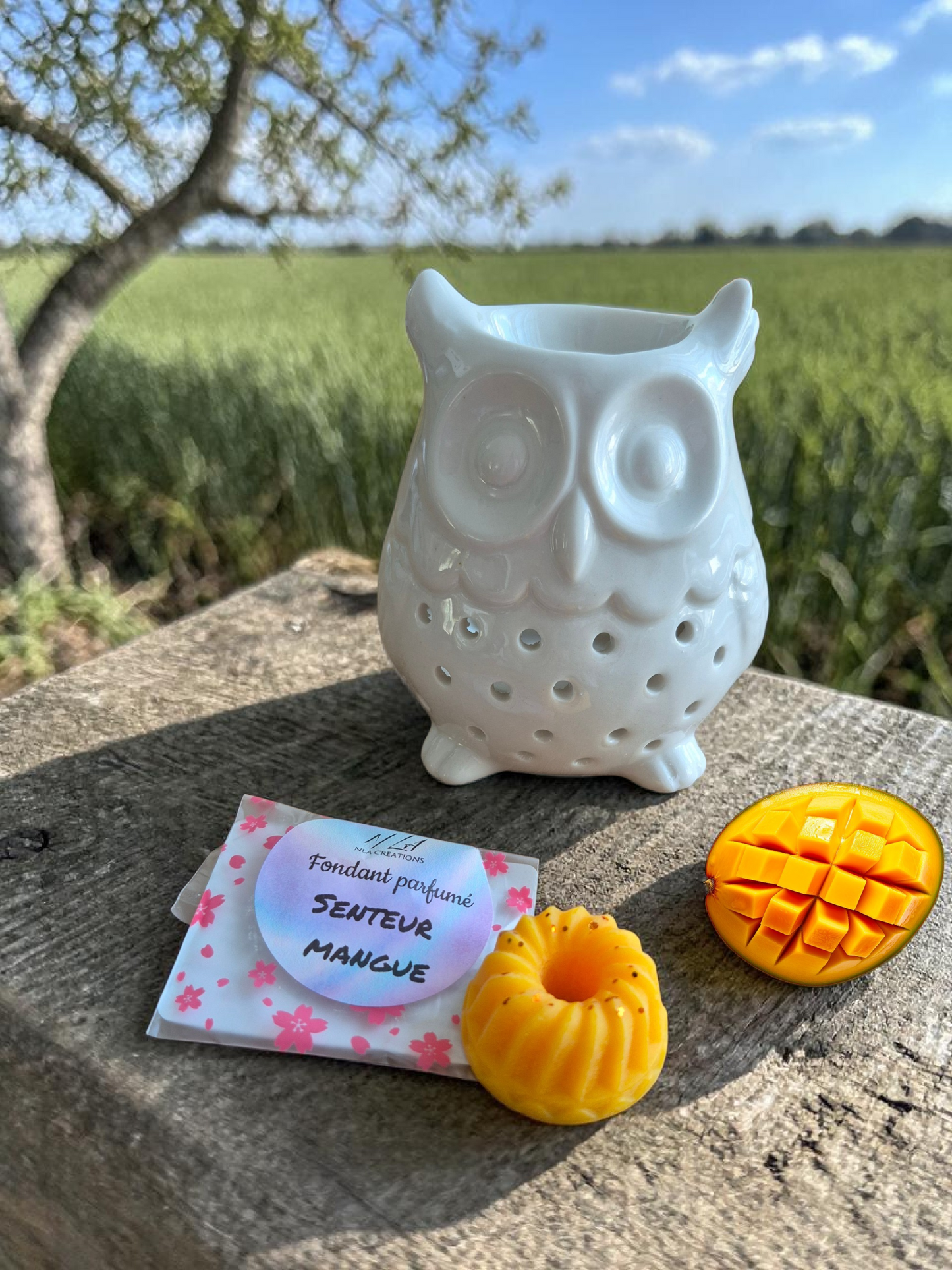 Fondants forme Savarin - Senteur au choix - +14g - NLA Creations 