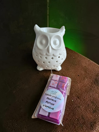 Tablettes parfumées - Parfum au choix +45g - NLA Creations 