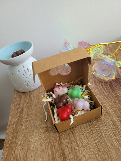 Box Découverte de fondants parfumés, joliment emballée, idéale pour tester plusieurs senteurs.