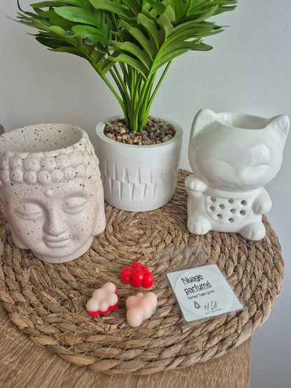 Fondant Nuages - Senteur au choix ✨️ - NLA Creations 