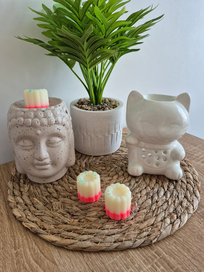 Les fondants du soleil - 6 senteurs - NLA Creations 