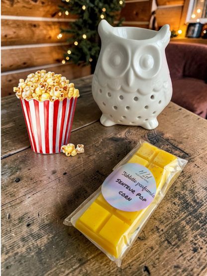 Tablettes parfumées - Parfum au choix +45g - NLA Creations 