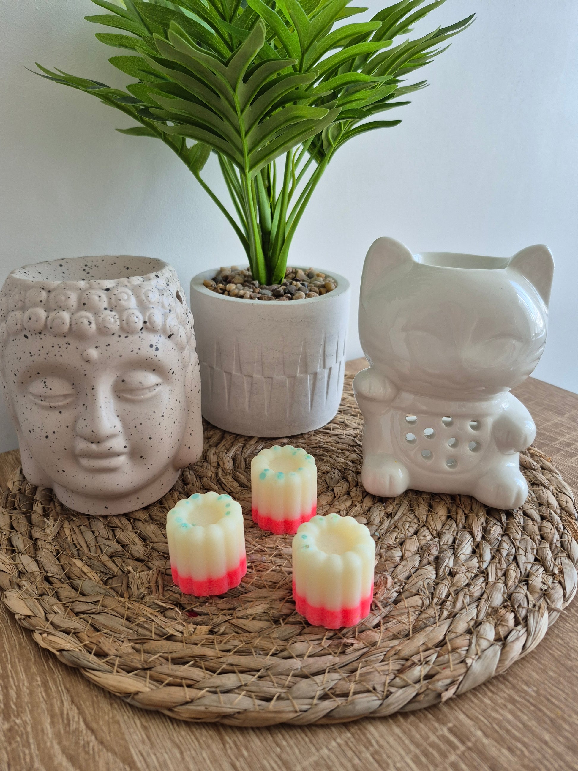 Les fondants du soleil - 6 senteurs - NLA Creations 