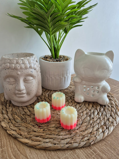 Les fondants du soleil - 6 senteurs - NLA Creations 