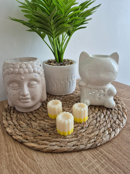 Les fondants du soleil - 6 senteurs - NLA Creations 