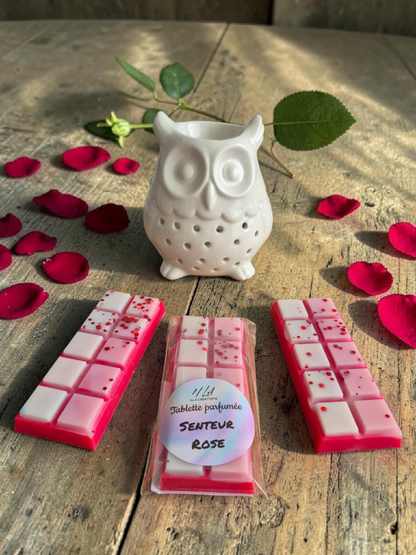 Tablettes parfumées - Parfum au choix +45g - NLA Creations 