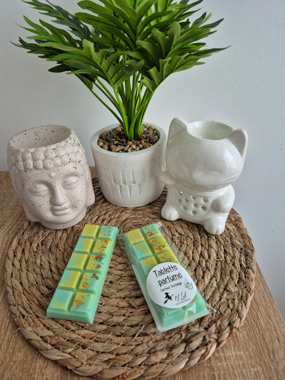 Tablettes parfumées - Parfum au choix - NLA Creations 