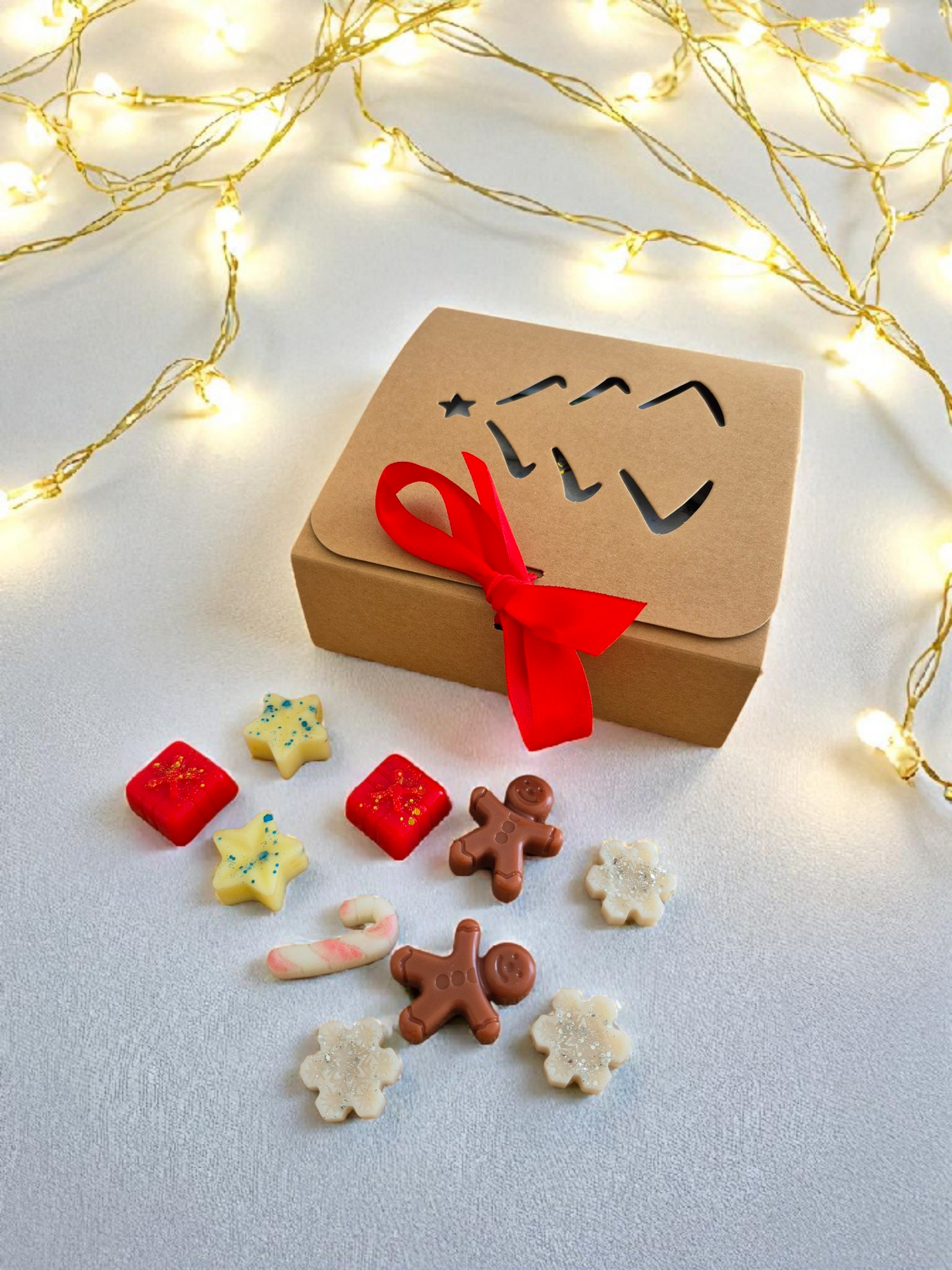 Coffret Noël Sapin - Senteur Sapin givré - 10 fondants parfumés - NLA Creations 