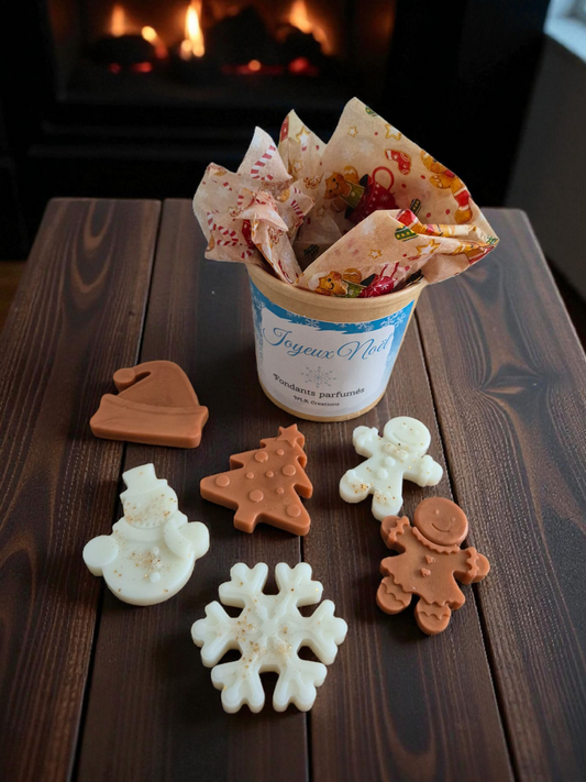 Box Noel - 6 fondants parfumées - 2 parfums 🎅