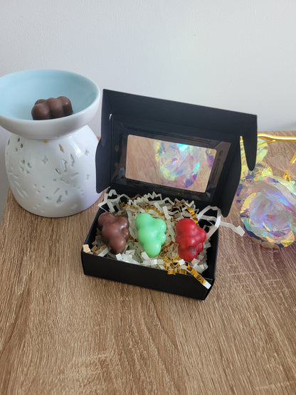 Coffret fondants parfumés découverte 3 parfums au choix idéal pour découvrir des nouvelles senteurs 