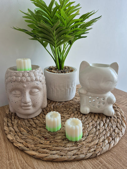 Les fondants du soleil - 6 senteurs - NLA Creations 