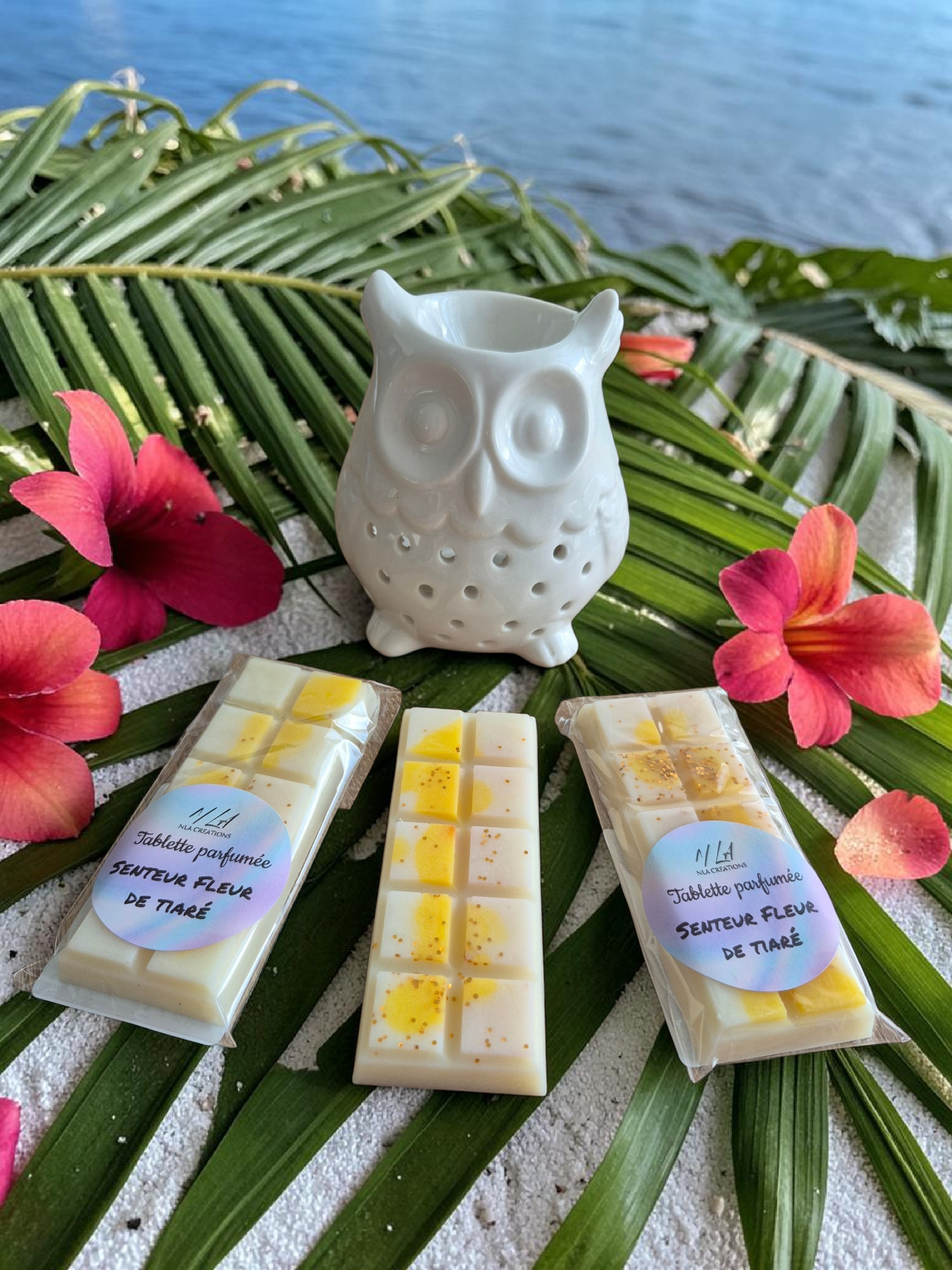 Tablettes parfumées - Parfum au choix +45g - NLA Creations 