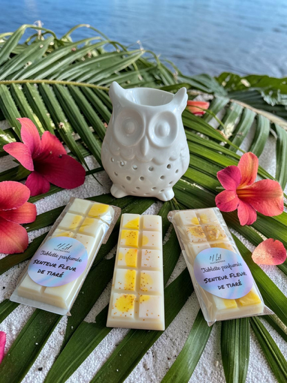 Tablettes parfumées - Parfum au choix +45g - NLA Creations 