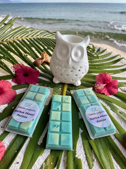 Tablettes parfumées - Parfum au choix +45g - NLA Creations 