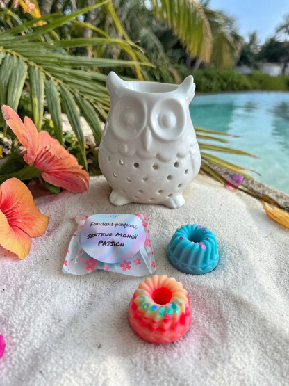 Fondants forme Savarin - Senteur au choix - +14g - NLA Creations 