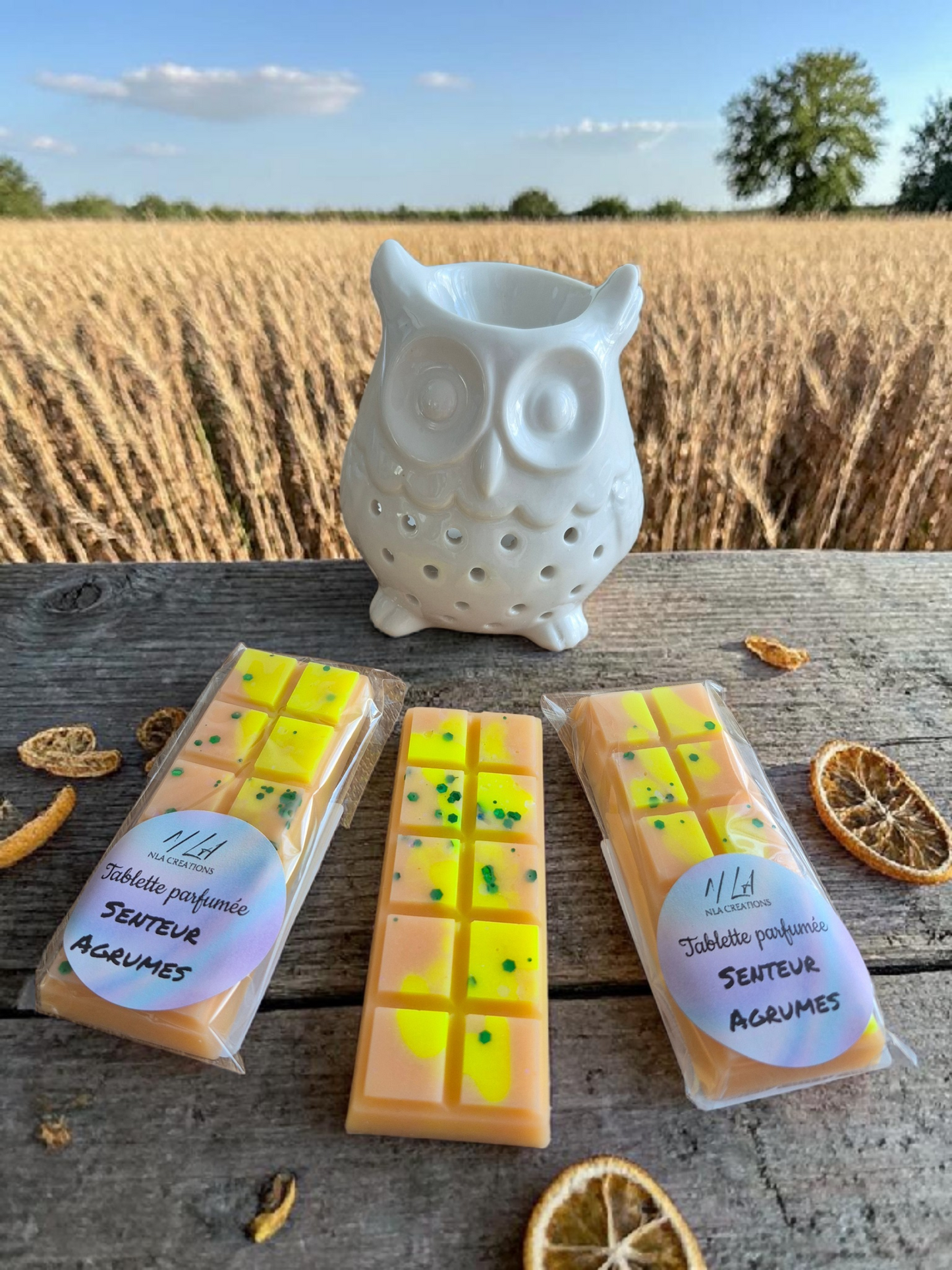 Tablettes parfumées - Parfum au choix +45g - NLA Creations 