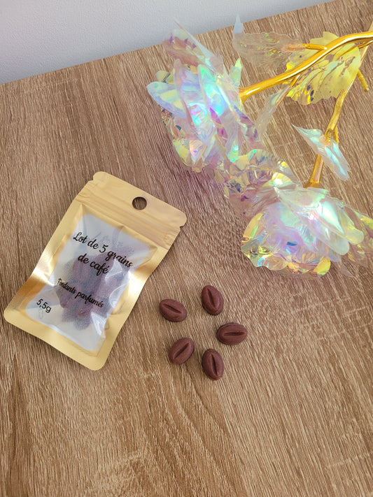 Lot de 5 fondants parfumés artisanaux, arôme intense de café brésilien, petits fondants marron foncé.