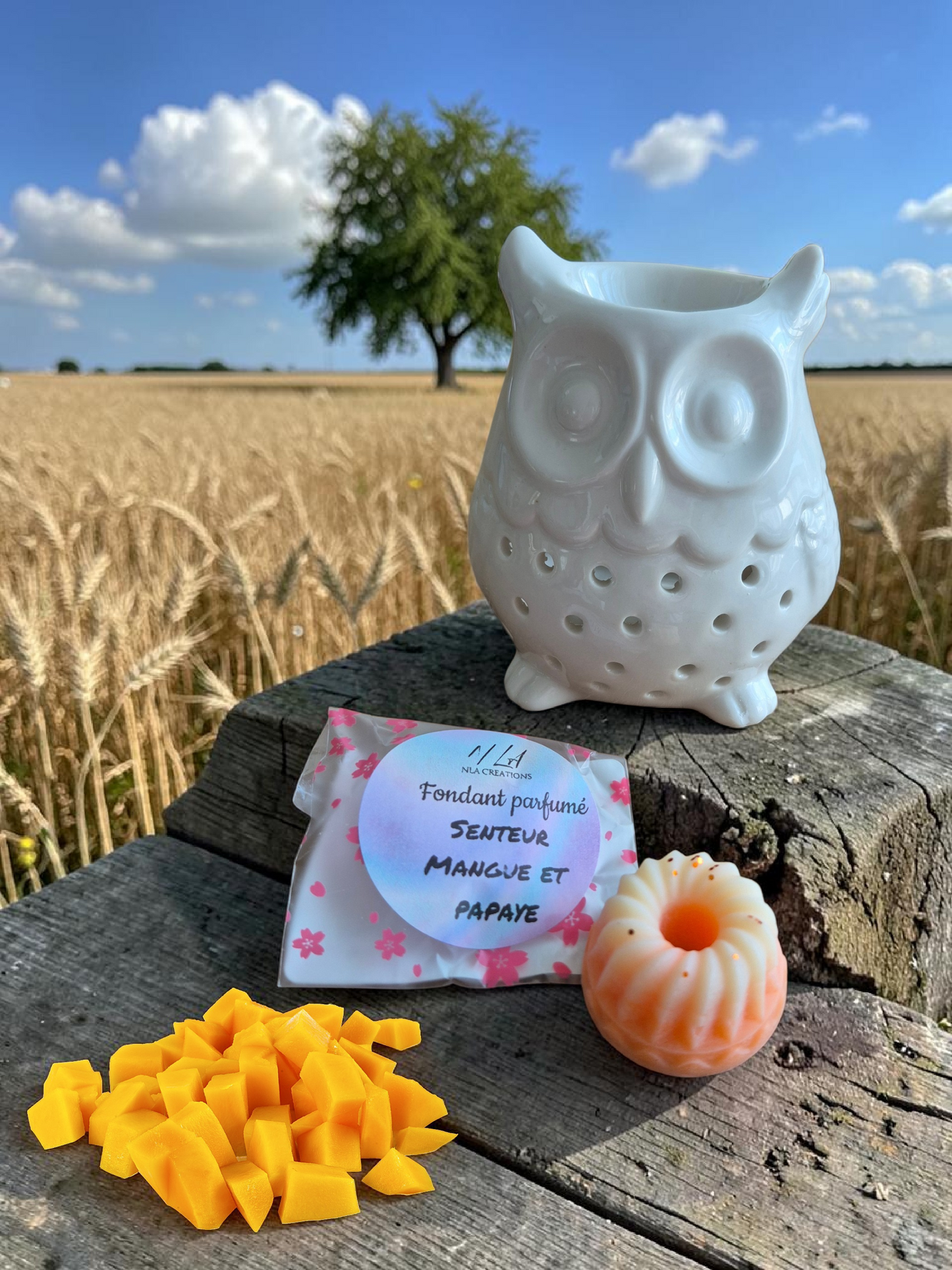 Fondants forme Savarin - Senteur au choix - +14g - NLA Creations 