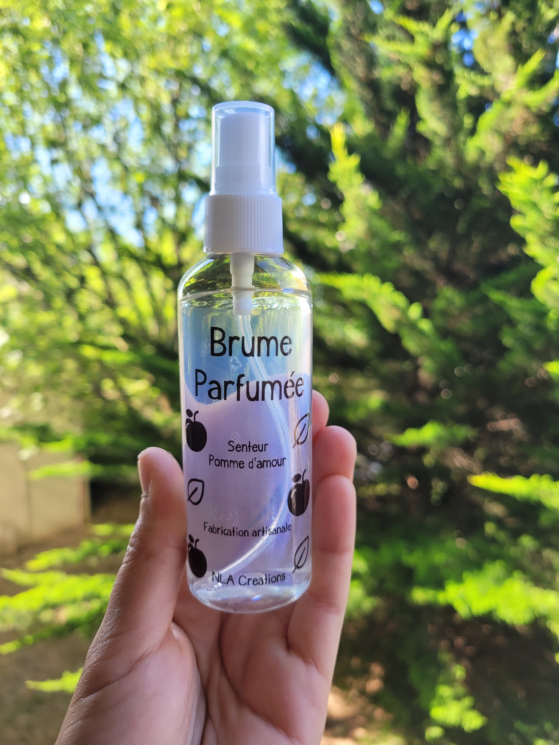 Brume Parfumée 100ml - NLA Creations 