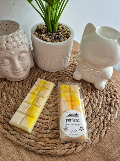 Tablettes parfumées - Parfum au choix - NLA Creations 