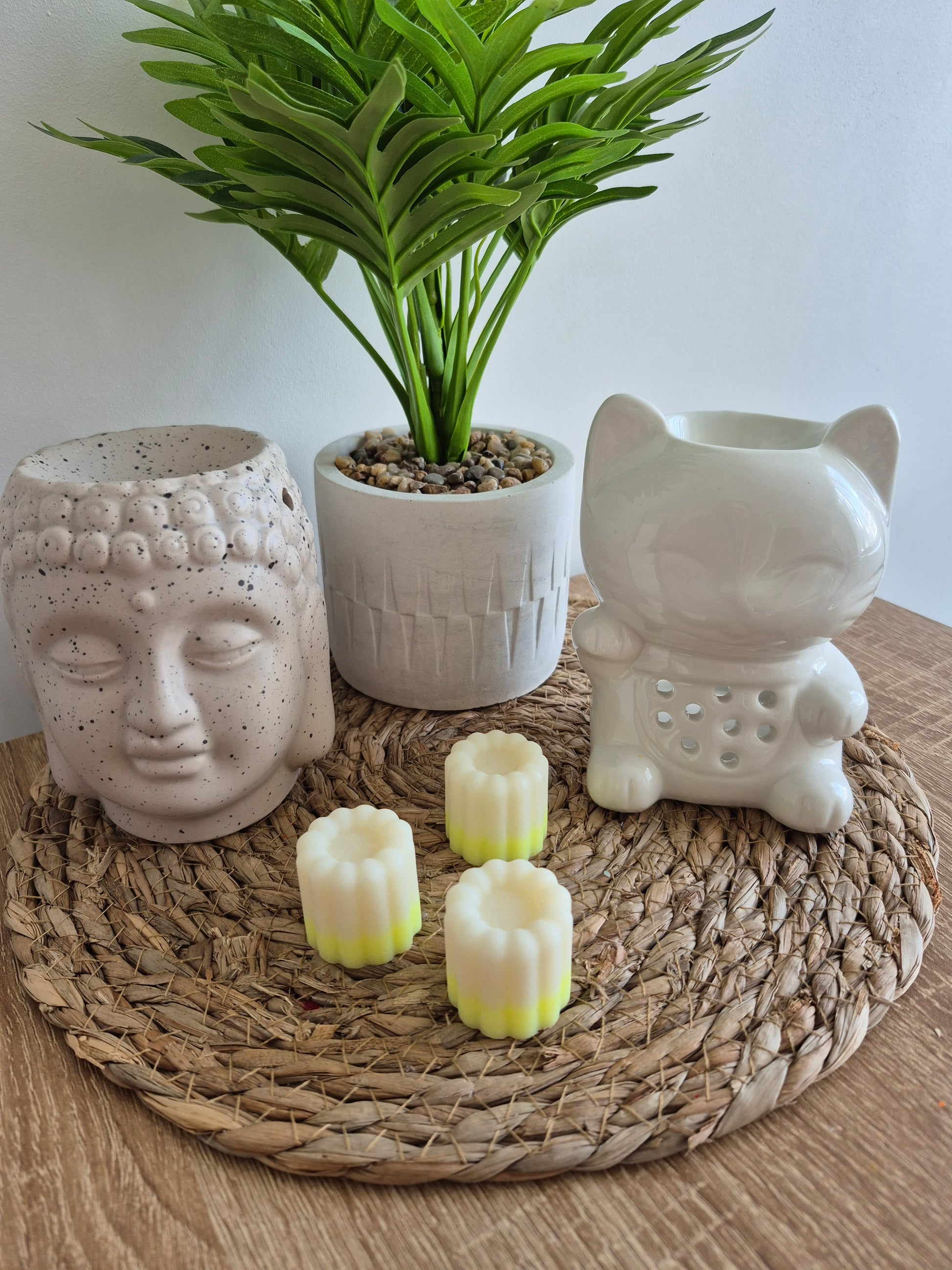 Les fondants du soleil - 6 senteurs - NLA Creations 