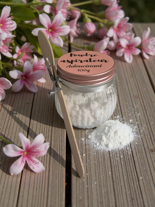 Poudre d'aspirateur - 100g - Parfum au choix - NLA Creations 