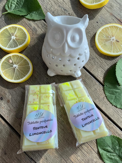 Tablettes parfumées - Parfum au choix +45g - NLA Creations 