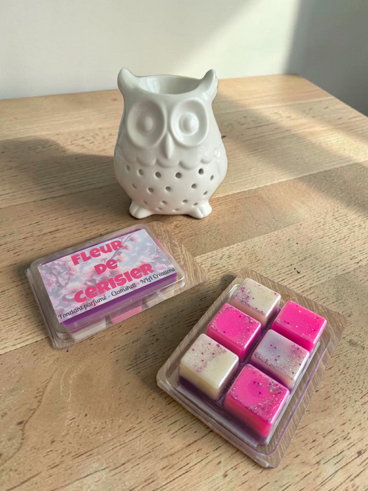 Fondant Clamshell 6 carrés – Personnalisable & pratique +75g - NLA Creations 