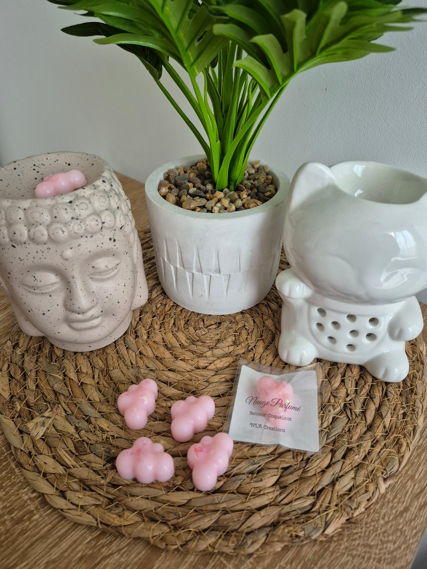 Fondant Nuages - Senteur au choix ✨️ - NLA Creations 