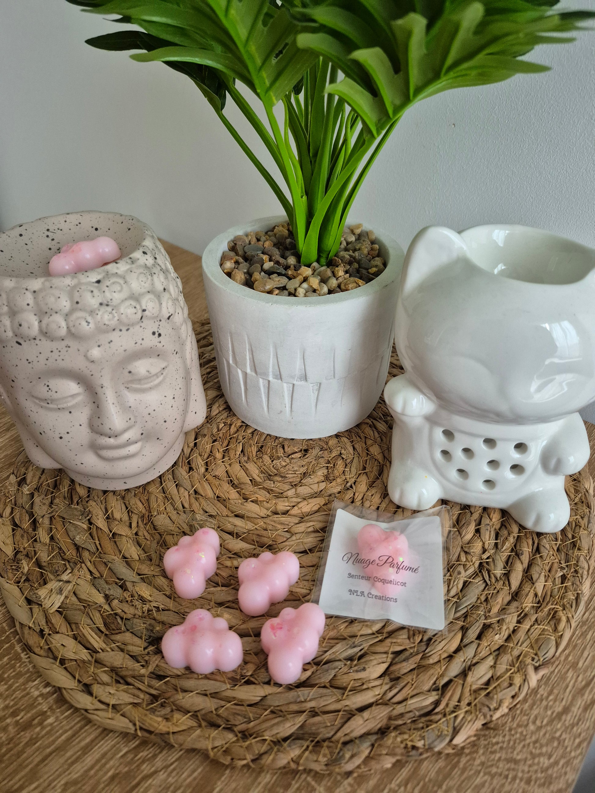 Fondant Nuages - Senteur au choix ✨️ - NLA Creations 